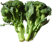 broccoli