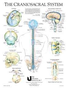 craniosacral therapy