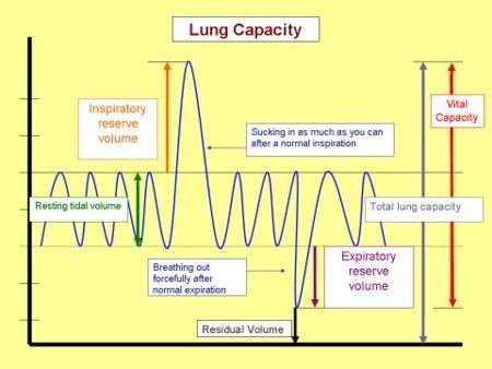 breath volume chart