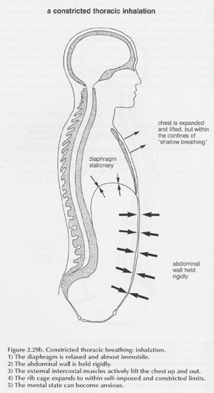 constricted thoracic breathing diagram